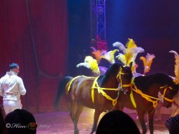 Circus Alex Kaisert am 1. Mai 2026